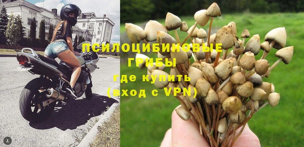 МДПВ Медногорск